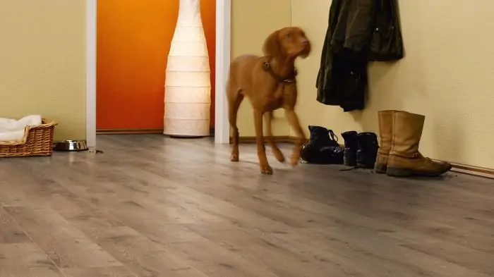 Ламинат Kronotex Amazone Дуб Неброский