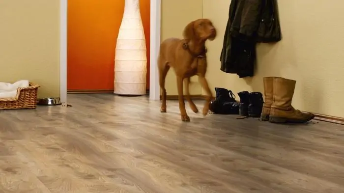 Ламинат Kronotex Mammut plus Дуб натуральный Макро (Macro Oak nature)