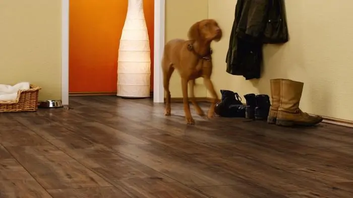 Ламинат Kronotex Exquisit plus Дуб Гала натуральный (Gala Oak nature)