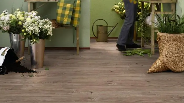 Ламинат Kronotex Mammut Дуб Эверест Серебро (Oak Everest Silver)