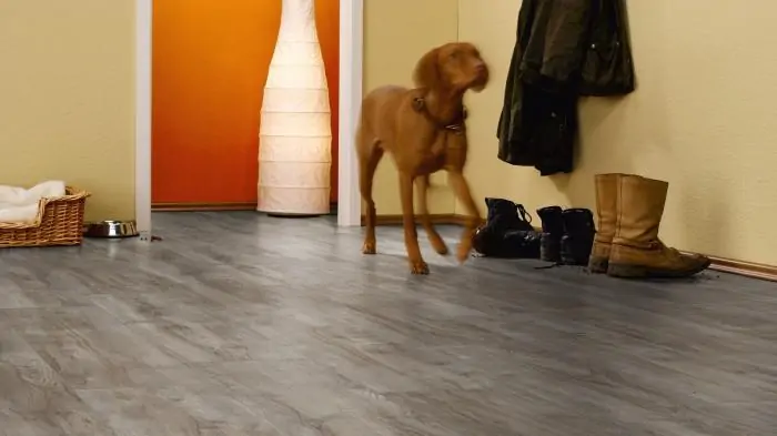 Ламинат Kronotex Exquisit plus Дуб Монтмело Серебряный (Oak Montmelo Silver)