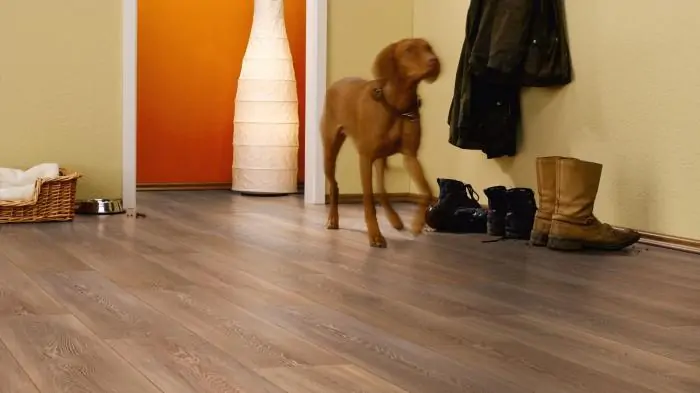 Ламинат Kronotex Exquisit Дуб Стирлинг Медиум (Medium Oak Stirling)