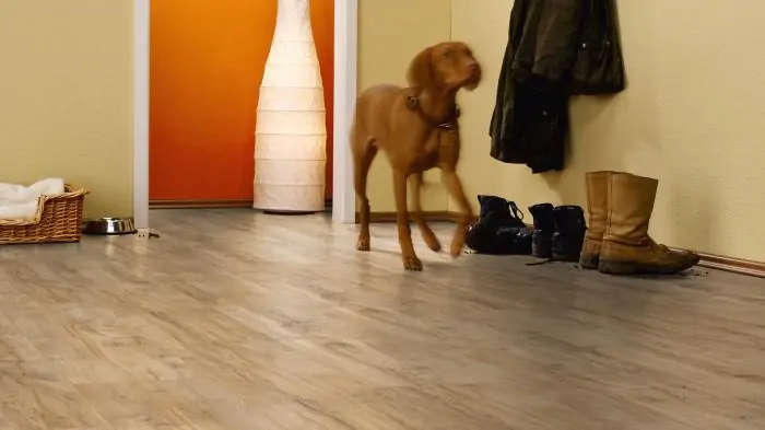 Ламинат Kronotex Exquisit plus Дуб Монтмело Натуральный (Oak Montmelo Natural)