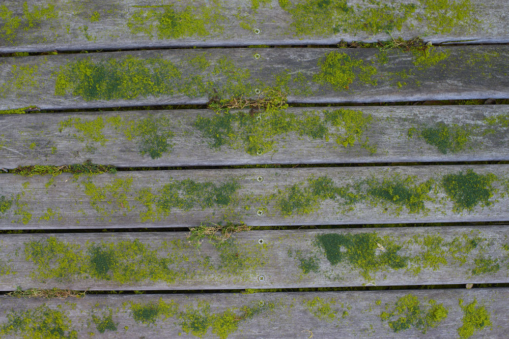 Щетка для дерева RYOBI RAC820