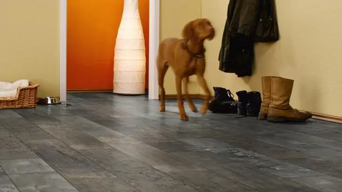 Ламинат Kronotex Exquisit Ahota D 4805