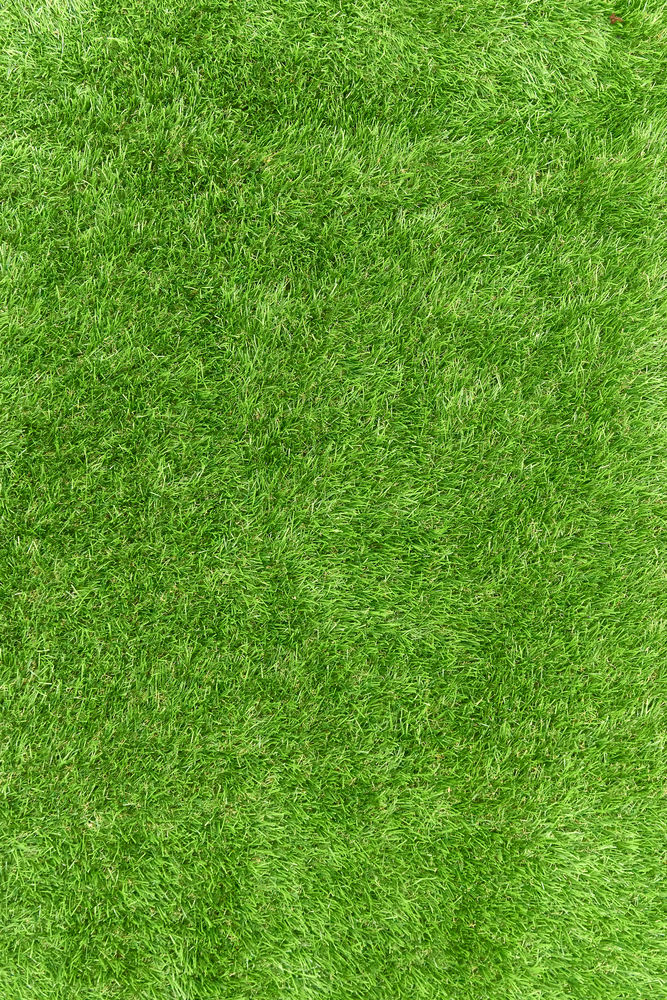 Щетка универсальная RYOBI RAC823