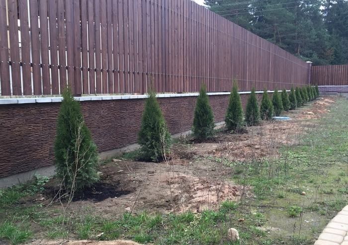 Декоративный искусственный камень Petra Сахара угловой составной [04K2]