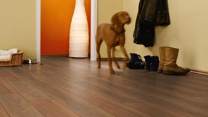 Ламинат Kronotex Robusto Махагон Карибский (Mahogany Caribbean)