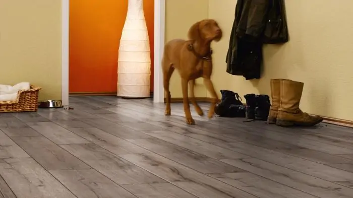 Ламинат Kronotex Robusto Ламинат Kronotex Robusto Дуб Рип (D3075)