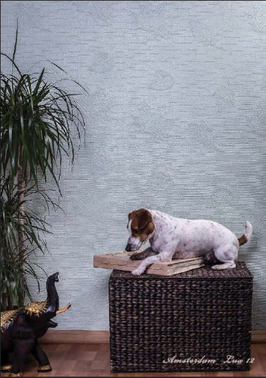 Стеклообои BauTex Luxury Amsterdam LUX 12