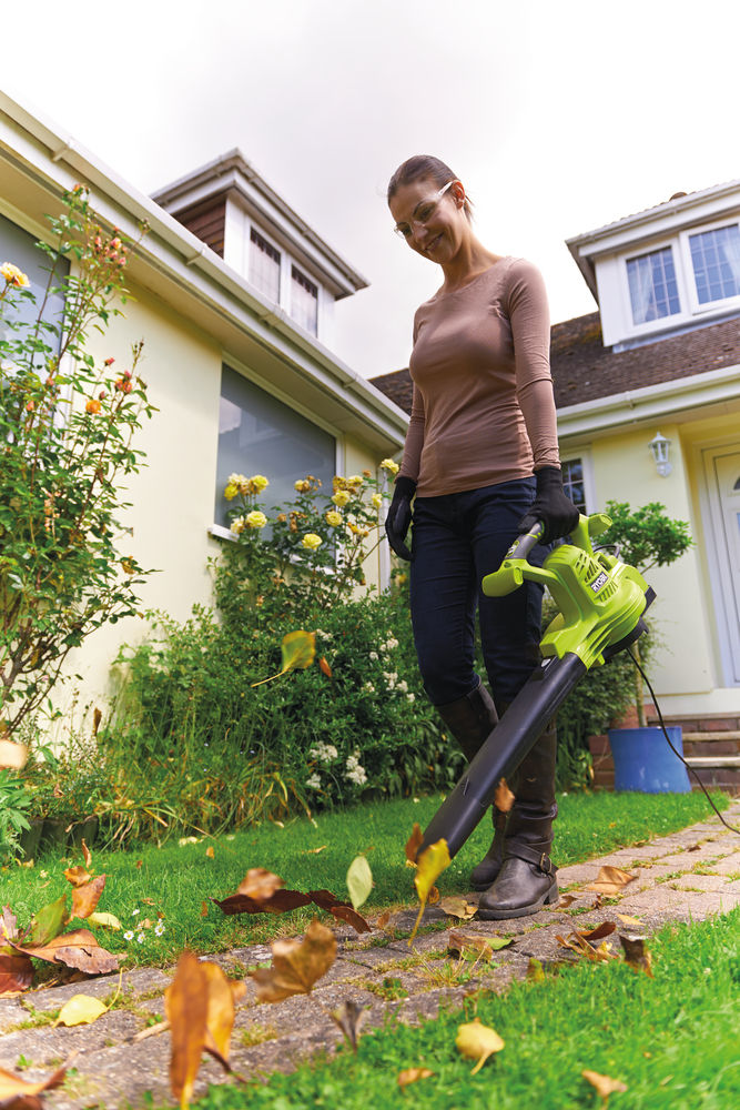 Воздуходувка-пылесос электрическая RYOBI RBV3000CSV