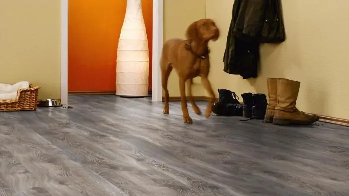 Ламинат Kronotex Mammut plus Дуб горный Титан (Highland Oak titan)