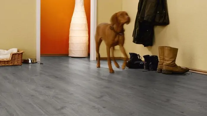 Ламинат Kronotex Robusto Дуб Таймлесс Серый (Timeless Oak Grey)