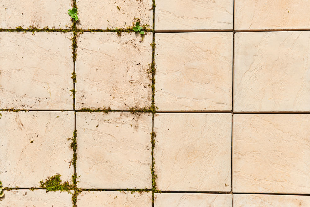 ONE + / Машина щеточная RYOBI RY18PCA-0 (без батареи)