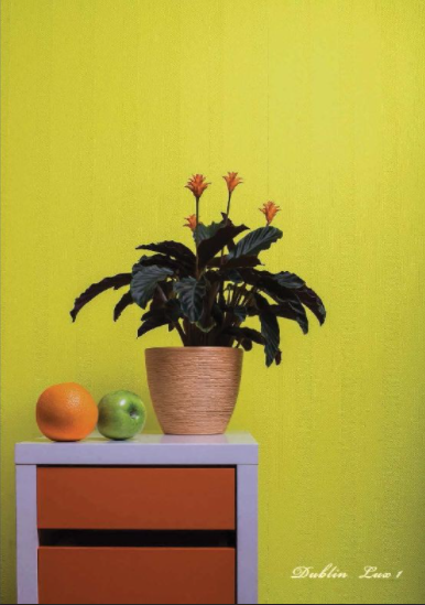 Стеклообои BauTex Luxury Dublin LUX 1