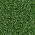 Линолеум IVC NEO Grass 025