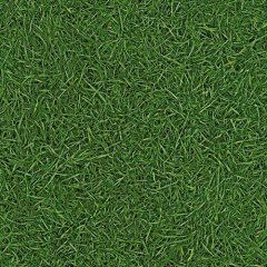 Линолеум IVC NEO Grass 025