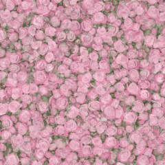 Линолеум Tarkett Fleur ROSE 2