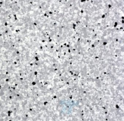 Линолеум токопроводящий Titan Vinyl  SHIELD XYR-603 Fog