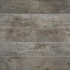 Дуб Гуарда (Guarda Oak)