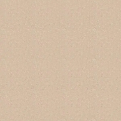 Гомогенный линолеум Tarkett Tempo+ 1007