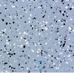 Линолеум токопроводящий Titan Vinyl  SHIELD XYR-611 Sky