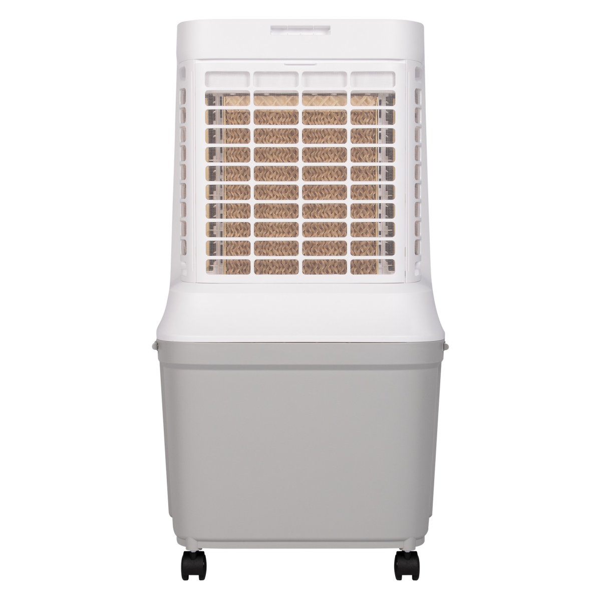 Охладитель воздуха Ballu Cyclone BCOOL-30L CL