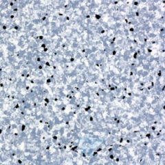 Линолеум токопроводящий Titan Vinyl  SHIELD XYR-604 Lake