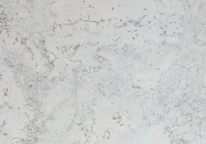 Пробковые покрытия для стен Wicanders Flores White