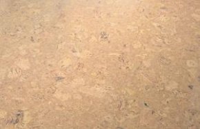 Пробковое покрытие Wicanders Cork Essence PERSONALITY CHAMPAGNE