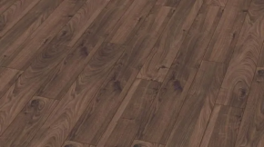 Дуб Эверест (Oak Everest)