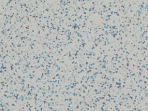 Токопроводящая плитка Fatra Elektrostatik 2403