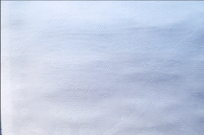 Стеклообои BauTex Luxury Lion LUX 16