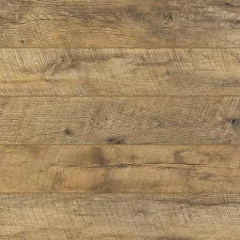 Дуб Базетта (Basseta Oak)