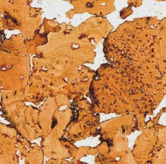 Пробковые покрытия для стен Wicanders Hawai White